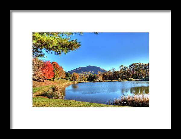 Mount Jefferson Framed Print featuring the photograph Mount Jefferson Reflection by Dale R Carlson