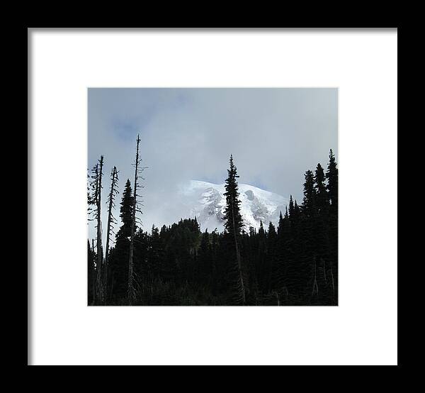 Mount Rainier Framed Print featuring the photograph Mount Rainier by John Mathews