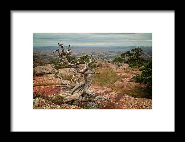 Mountain Framed Print featuring the photograph Mount Scott View IV by Ricky Barnard