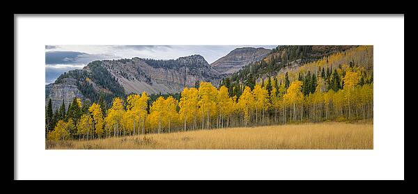 Autumn Framed Print featuring the photograph Mount Timpanogos Meadow in Fall by James Udall