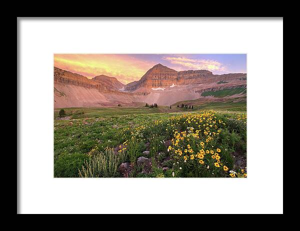 Utah Framed Print featuring the photograph Mount Timpanogos Wildflower Sunset - Utah by Brett Pelletier