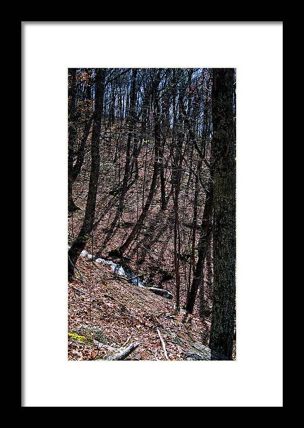 Creek Framed Print featuring the photograph Mountain Creek by George Taylor