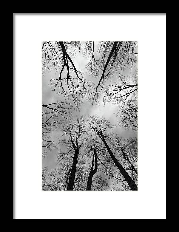 Princeton Framed Print featuring the photograph Mountain Lakes Nature Preserve by Steven Richman