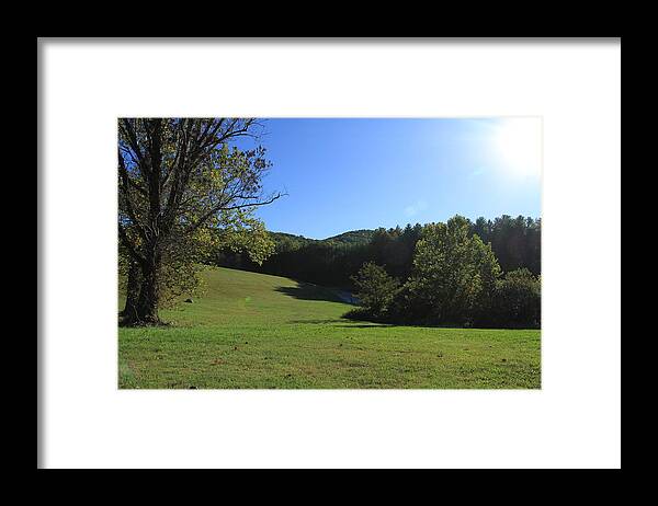 Meadow Framed Print featuring the photograph Mountain Meadow by Karen Ruhl