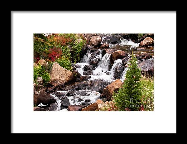 Colorado Mountain Stream Framed Print featuring the photograph Mountain Music by Bon and Jim Fillpot