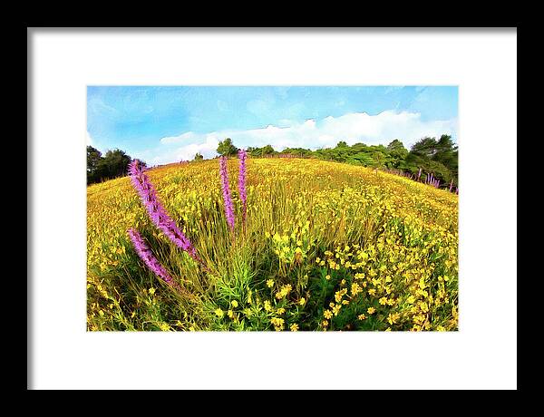 Blue Ridge Framed Print featuring the painting Mountain of Summer Flowers in the Blue Ridge AP by Dan Carmichael