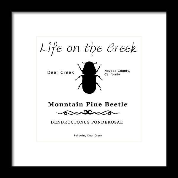 Bark Beetle Framed Print featuring the digital art Mountain Pine Beetle black on white by Lisa Redfern