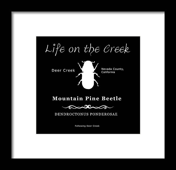 Bark Beetle Framed Print featuring the digital art Mountain Pine Beetle white on black by Lisa Redfern