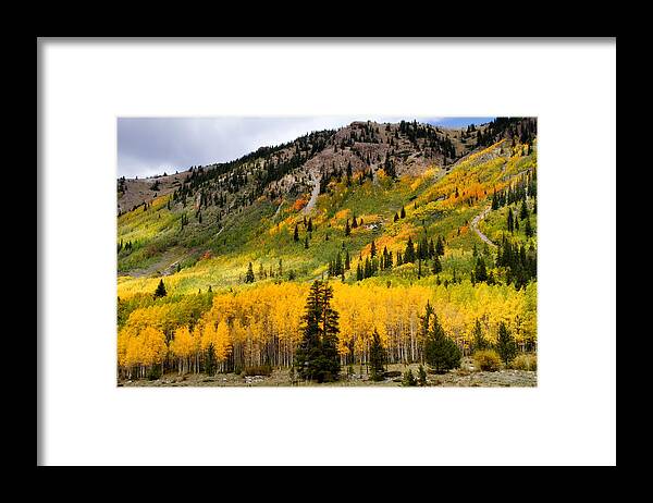 Aspen Framed Print featuring the photograph Mountain Side Autumn by Lana Trussell