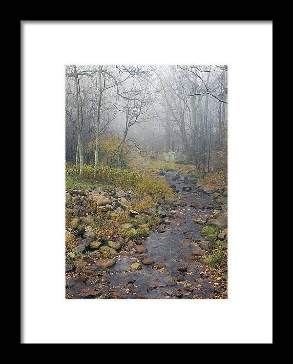 Fog Framed Print featuring the photograph Mountain Stream by Alan Raasch