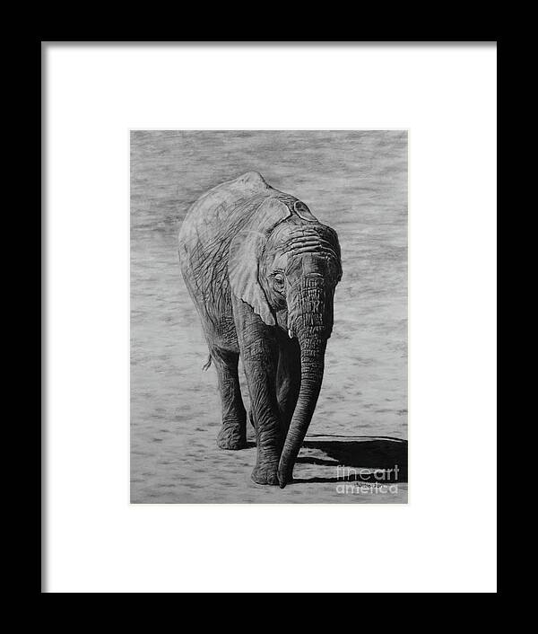 Elephant Framed Print featuring the drawing Mpumi by Jennifer Watson