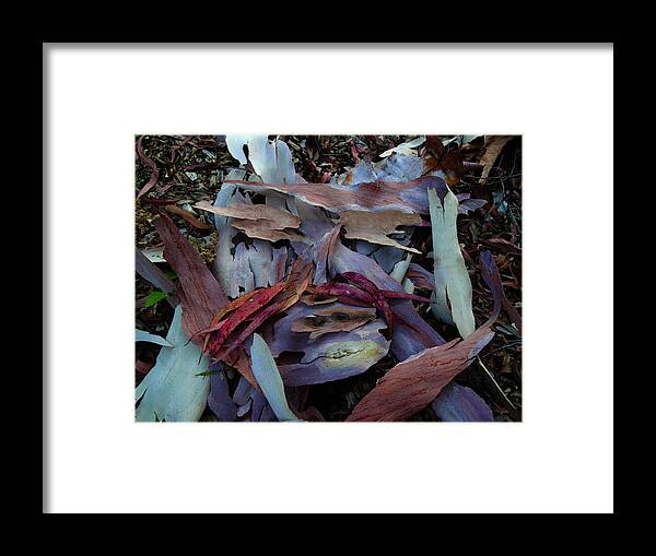 | - | Great Affordable Cards: - | - 2.95 Each For A Pack Of 10: - | - - | - - | - 2.48 Each For A Pack Of 25: - Framed Print featuring the photograph Mr Nature Faced by Kenneth James