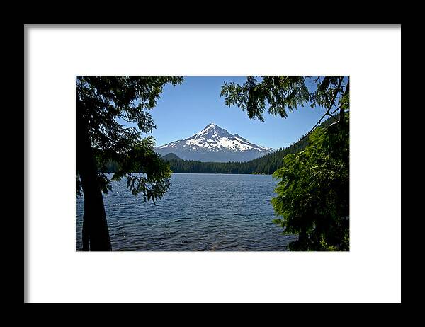 Lakes Framed Print featuring the photograph Mt Hood over Lost Lake by Albert Seger