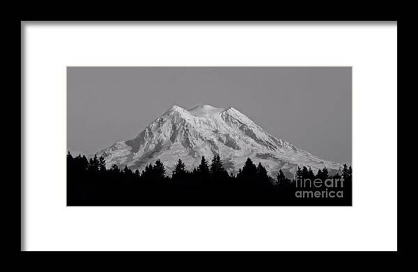 Mountain Framed Print featuring the photograph Mt. Rainier in Black and White by Patricia Strand