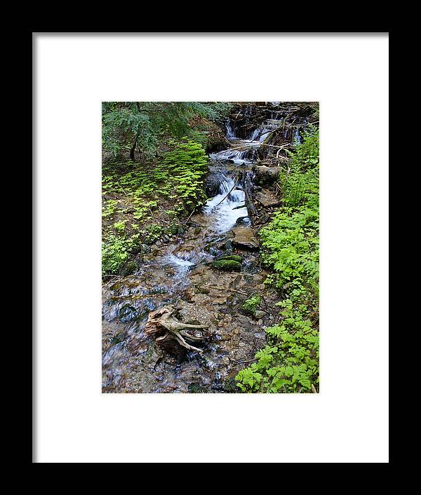 Nature Framed Print featuring the photograph Mt. Spokane Creek 2 by Ben Upham III