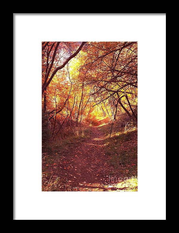 Muller Park Framed Print featuring the photograph Mueller Park in the fall by Richard Lynch
