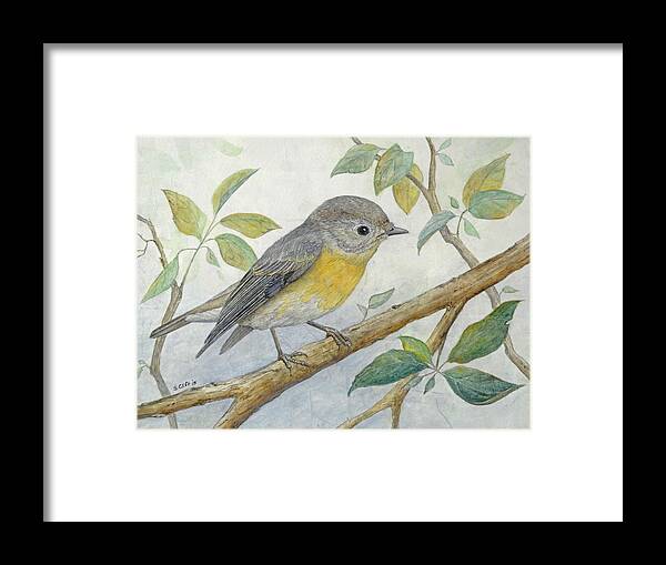 Bird Framed Print featuring the painting Mugimaki Flycatcher by Sandy Clift