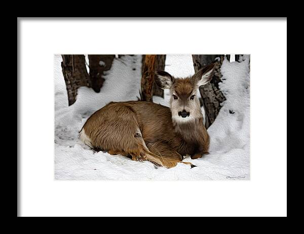 Mule Framed Print featuring the digital art Mule Deer - Digital Oil by Birdly Canada