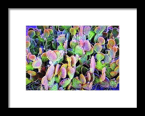 Texas Framed Print featuring the digital art Multi-Color Artistic Beaver Tail Cactus by Linda Phelps