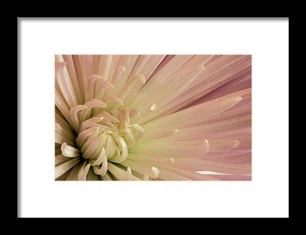 Mum Framed Print featuring the photograph Mum by Bob Cournoyer