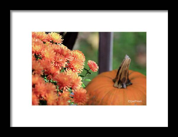 Mum Is The Word Framed Print featuring the photograph Mum is the Word by PJQandFriends Photography