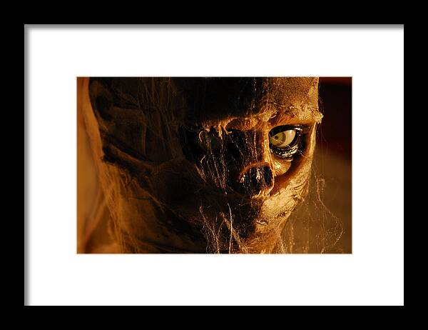 Halloween Framed Print featuring the photograph Mummy by Craig Incardone