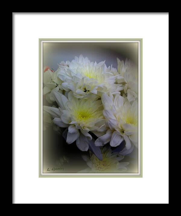Chrysanthemums Framed Print featuring the digital art Mums by Lessandra Grimley