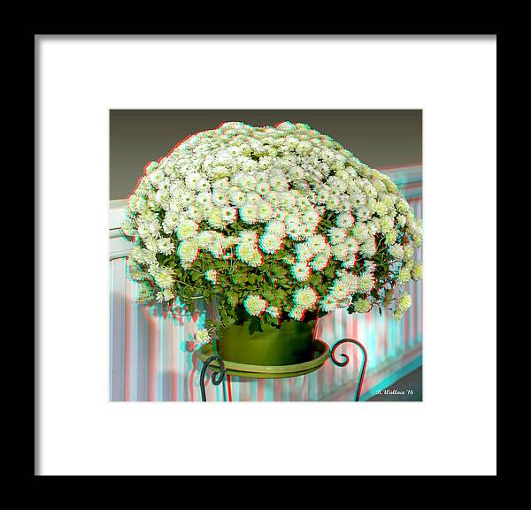 3d Framed Print featuring the photograph Mums On The Porch - Use Red-Cyan 3D Glasses by Brian Wallace