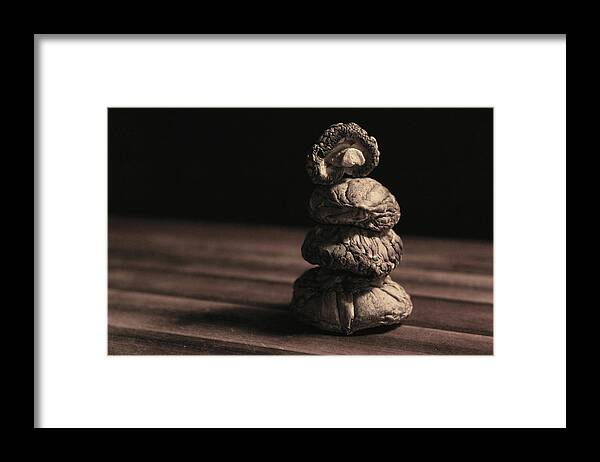 Mushrooms Framed Print featuring the photograph Mushroom Cairn by Holly Ross