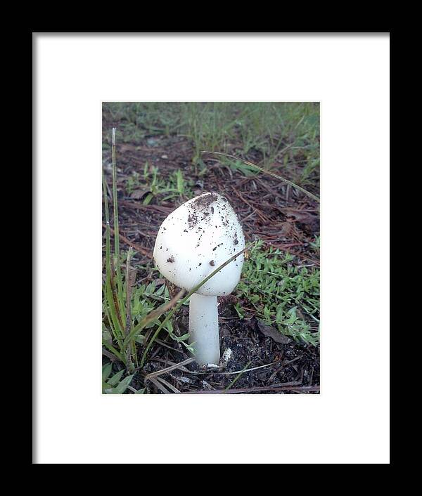 Mushroom Framed Print featuring the photograph Mushroom in the Grass by Pamela Henry