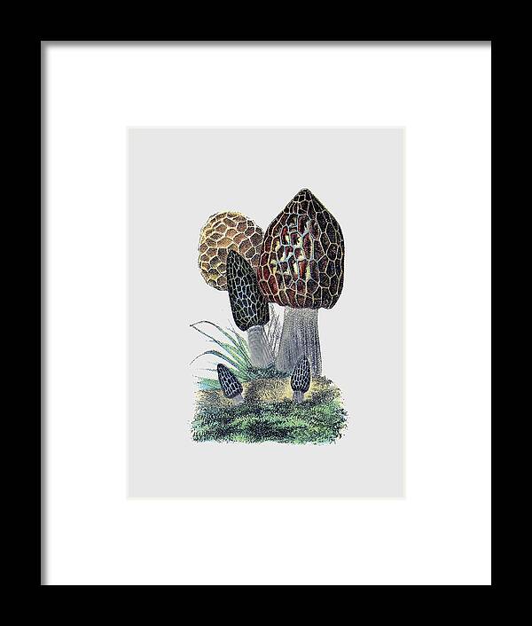 Bellesouth Studio Framed Print featuring the digital art Mushrooms T Shirt by Bellesouth Studio