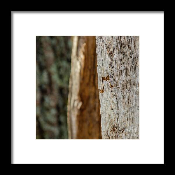 Note. Music Framed Print featuring the photograph Music Is Everywhere by Paul Noble