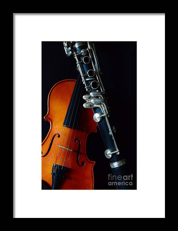 Paul Ward Framed Print featuring the photograph Music - Woodwind and Strings by Paul Ward
