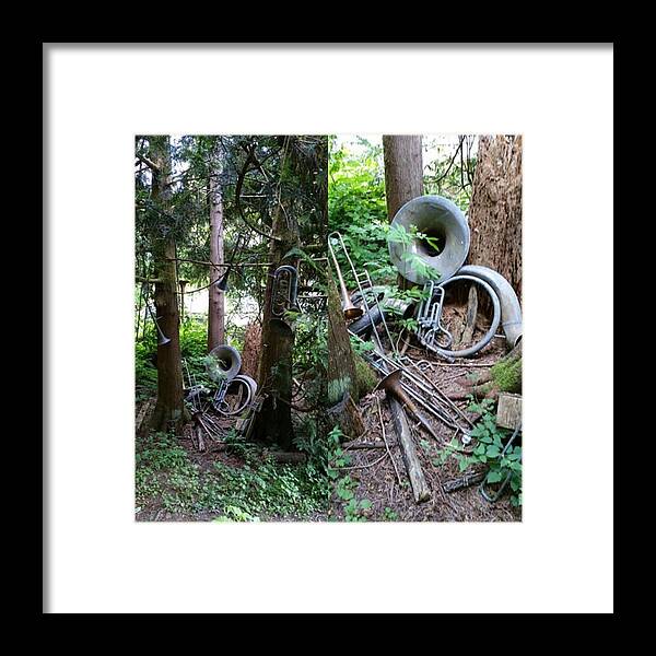  Framed Print featuring the photograph Musical Instrument Graveyard
*soooo by Serena Elm