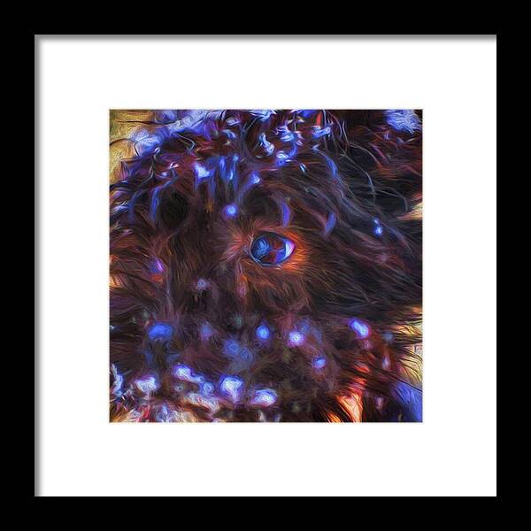 Photoshop Framed Print featuring the photograph My Baby Puppy Olive. Her First Snow by David Haskett II