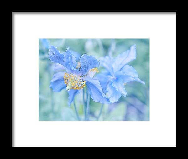Alaska Framed Print featuring the photograph My Blue Heaven by Theresa Tahara