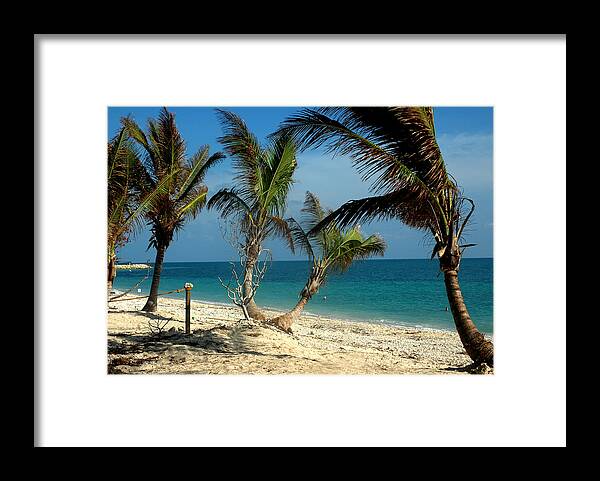 Photography Framed Print featuring the photograph My Favorite Beach by Susanne Van Hulst