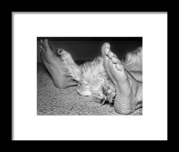 My Favorite Feet Framed Print featuring the photograph My Favorite Feet by Jemmy Archer
