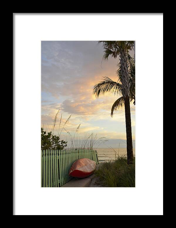Palm Tree Framed Print featuring the photograph My Favorite Place by Alison Belsan Horton