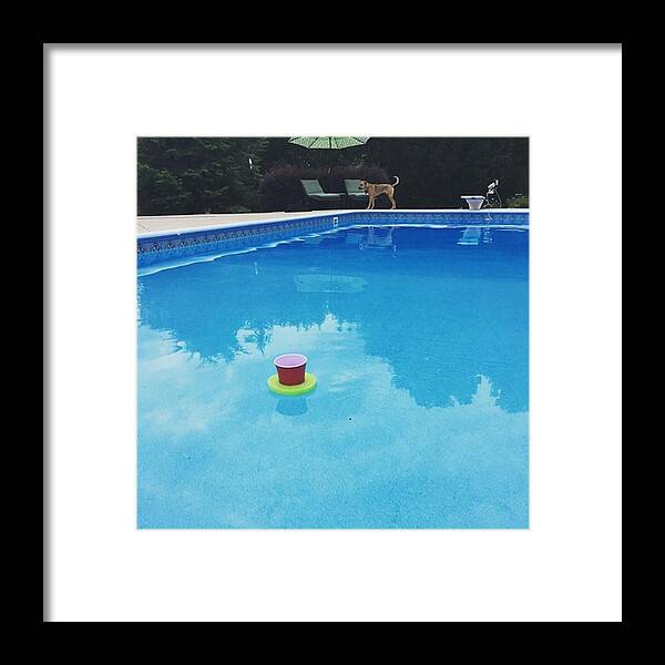 Tgif Framed Print featuring the photograph My Morning Wine Is Floating Away by Carlyn Kelley