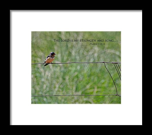Nature Framed Print featuring the photograph My Strength by Bonnie Bruno