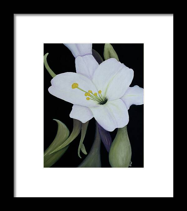 Lily Framed Print featuring the painting My White Lily by Mary Gaines