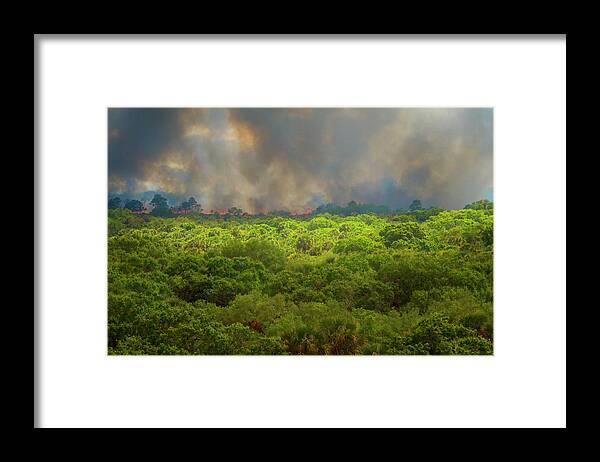 North Port Florida Framed Print featuring the photograph Myakka River Burn by Tom Singleton
