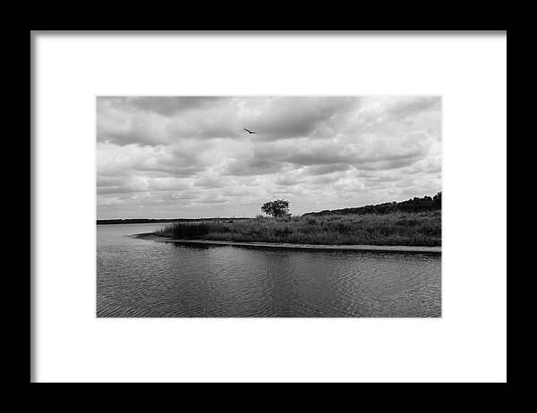 Florida Framed Print featuring the photograph Myakka River Solitude by Robert Wilder Jr