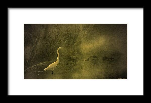 Framed Print featuring the photograph Myrtle Beach Crane by Marilyn Marchant
