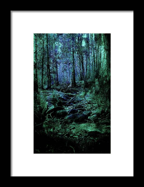 Creek Framed Print featuring the photograph Mysteries Along The Creek by Mike Eingle