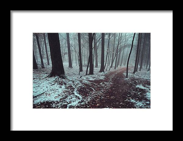 Jenny Rainbow Fine Art Photography Framed Print featuring the photograph Mysterious Winter Woods 1 by Jenny Rainbow