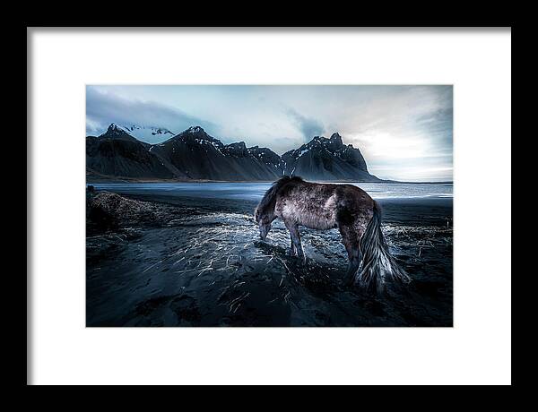 Iceland Framed Print featuring the photograph Mystic Icelandic Horse by Larry Marshall