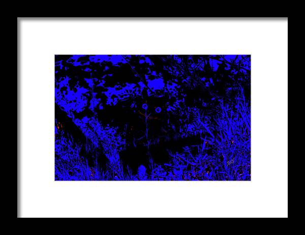 Abstract Framed Print featuring the photograph Mystic Owl by Gina O'Brien