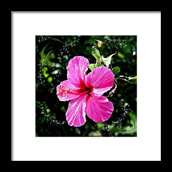Flowers Framed Print featuring the photograph Mystical Bloom by Alice Terrill